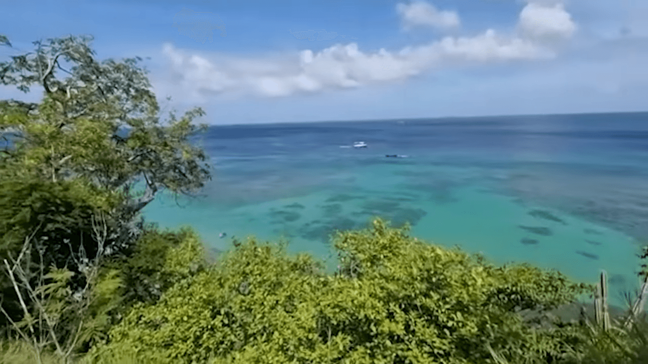 Turquoise Grenadian coast